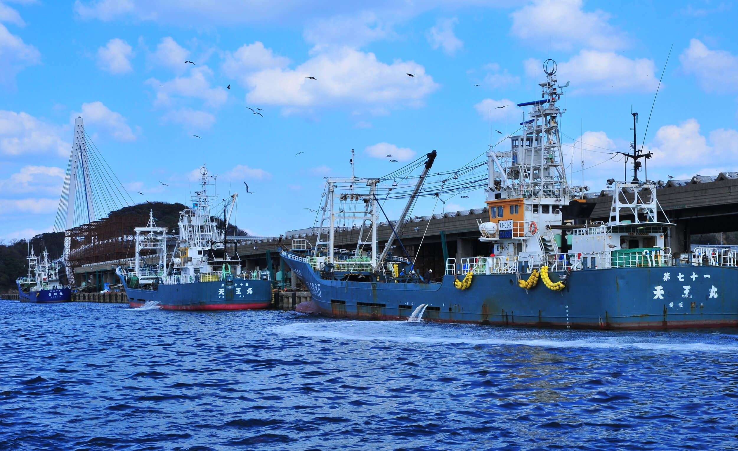 浜はサバの大量だ | 浜田市フォトコンサイトハマコレ！｜ハマコレは浜田市の綺麗な景色や楽しい写真をフォトコンテストで投稿する画像共有サイトです