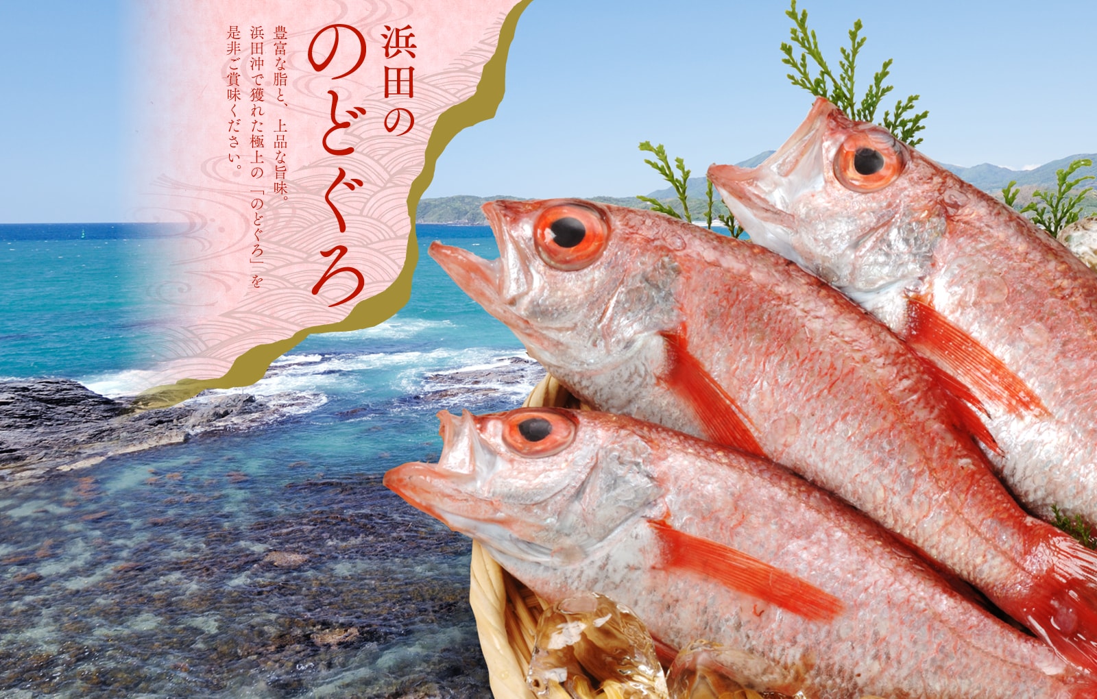 ふるさと寄付 浜田ののどぐろ 浜田市へようこそ Hamada Diary 浜田の観光 子育て定住を扱う浜田市情報発信サイトです